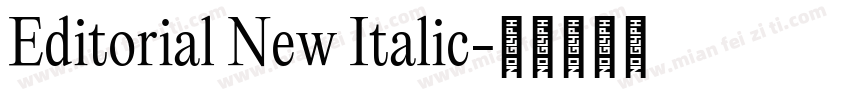 Editorial New Italic字体转换